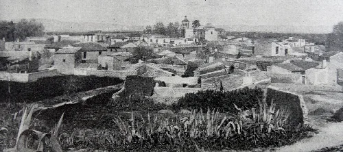 Vista de Rojales.