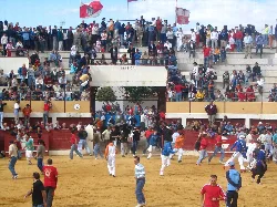 Muchos corredores y espectadores en la plaza durante el encierro en Macotera.