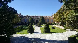 Garden with geometrically shaped trees in front of a palace.