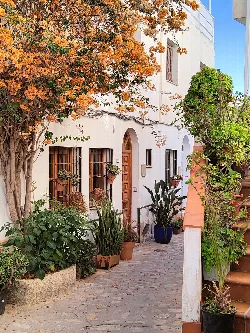 Narrow street with plants and trees in Salobreña.