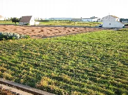 Grüne und braune Felder mit weißen Häusern und Industriegebäuden im Hintergrund.