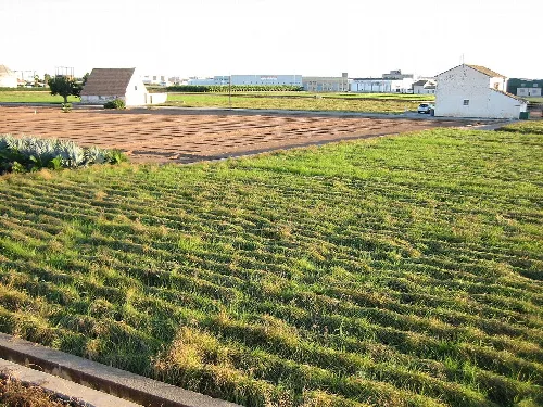 Grüne und braune Felder mit weißen Häusern und Industriegebäuden im Hintergrund.