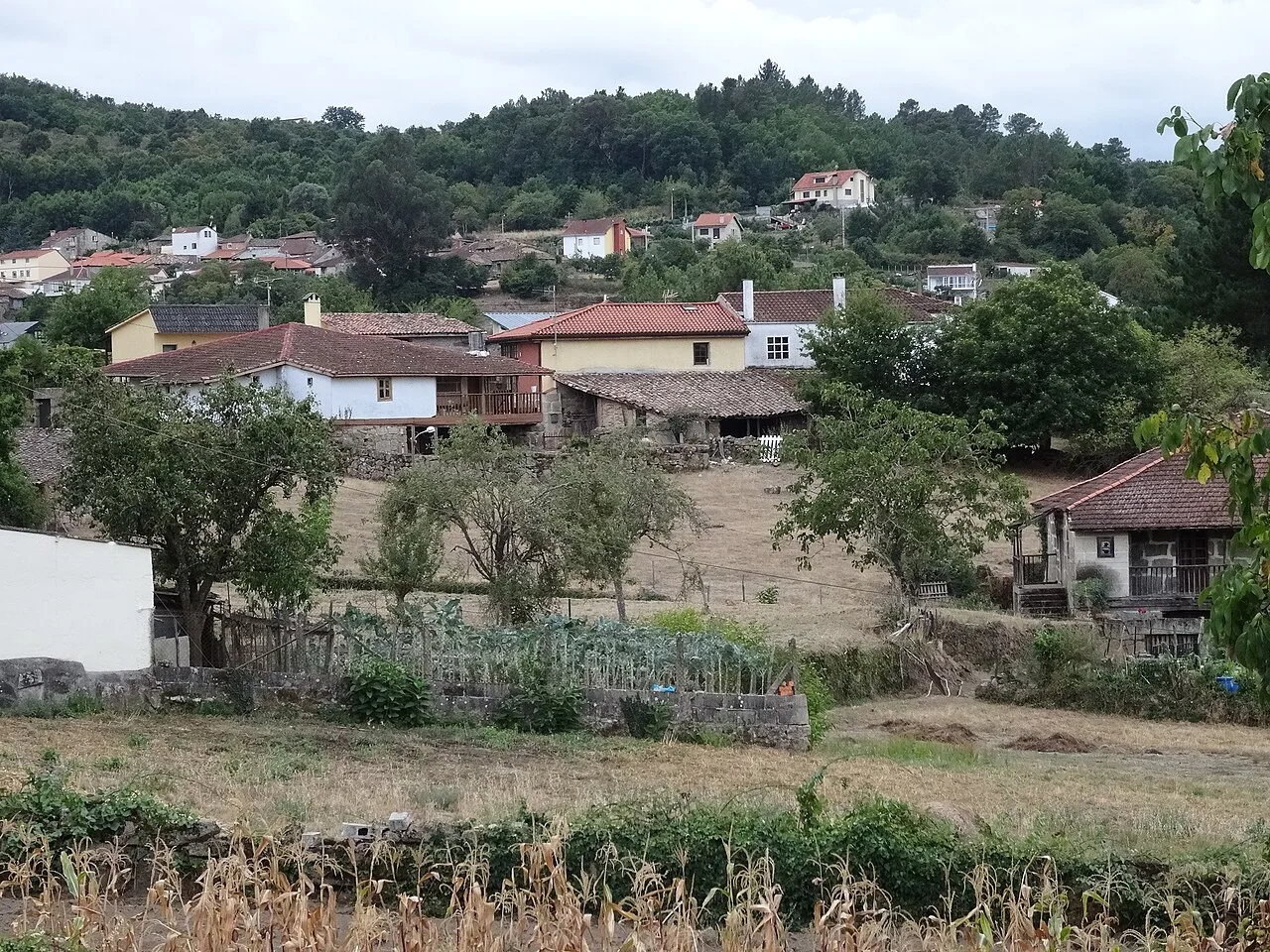 Paisaje rural con casas y árboles en Pereiro de Aguiar