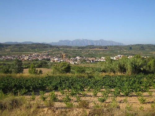 Panoramic photo of Sant Pere de Riudebitlles, village from Alt Penedès catalan county, whith mountain of Montserrat in the background.