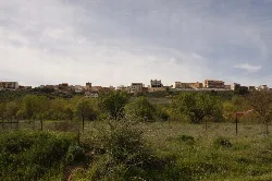 Häuser auf dem Hügel und grüne Bäume in einem Feld.