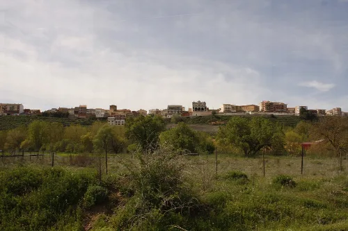 Houses on the hill and green trees in a field.