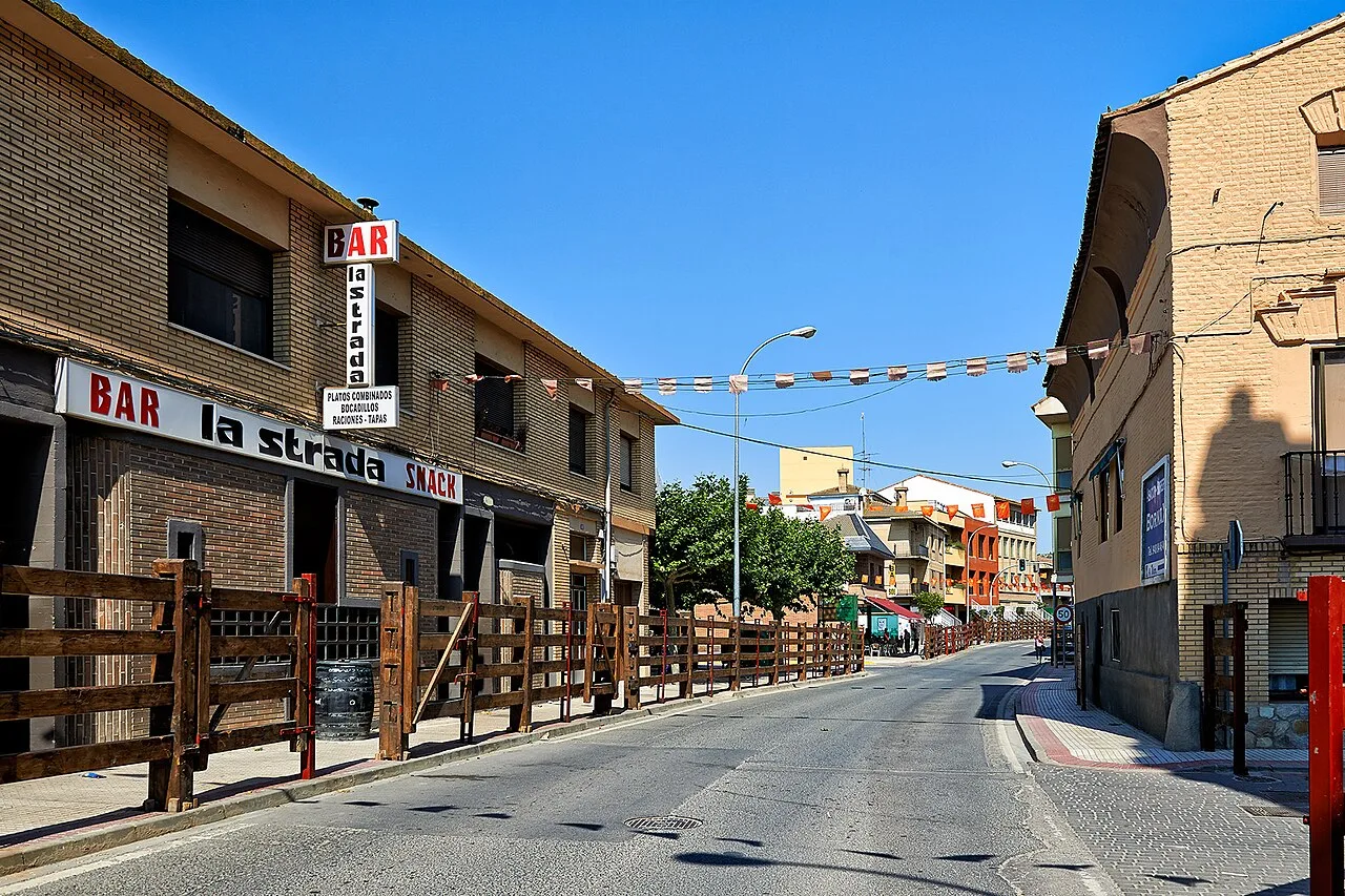 Valtierra's Paseo de Ribera at parties (Navarra, Spain)