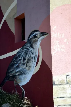 Mural de una alondra pintada en una pared de Vallanca.