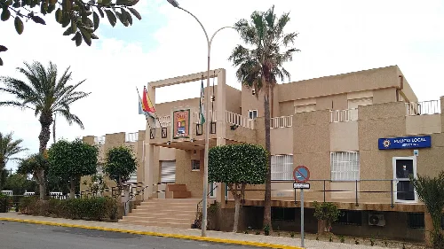 Edificio del ayuntamiento con banderas y palmeras en la fachada.