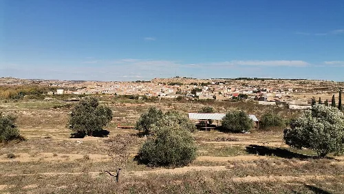 Rural landscape with trees and fields in Fabara, Zaragoza.