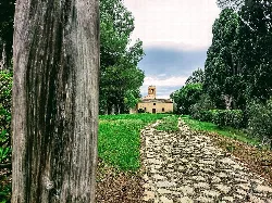 Camino de piedras y árboles que lleva a una pequeña iglesia en un entorno natural