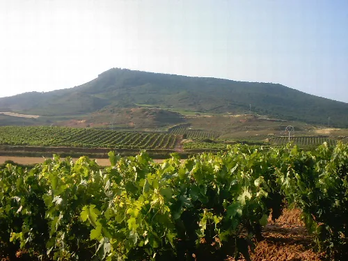 Paisaje y viñedos en Ventosa (La Rioja).  España
