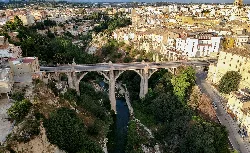 Large bridge over a river with vegetation and buildings in Ontinyent.