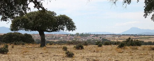 Carrascal del Obispo. Salamanca. Vista desde La Costera.