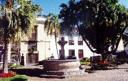 Fuente en la Plaza de la Pila con palmeras y edificios blancos en Tenerife