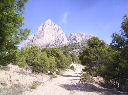 Blick auf Puig Campana von Süden, mit Bäumen und Weg im Vordergrund.