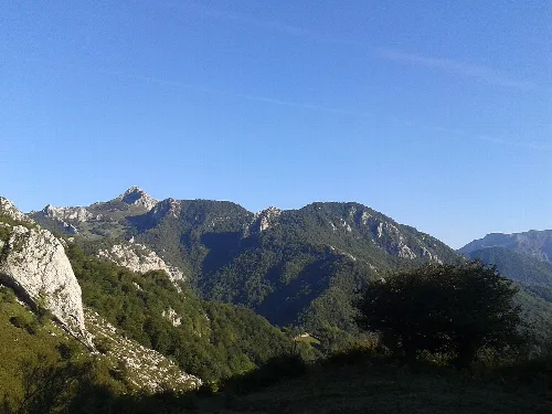Montañas y árboles en una zona protegida en Caso, Asturias.