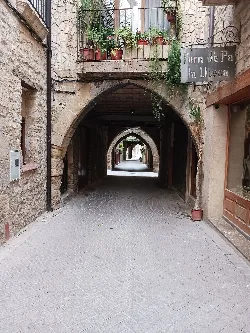 Calle del centro de Batea con arcos de piedra y plantas en las ventanas.