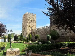 Castle with towers and walls in a park with trees and grass.