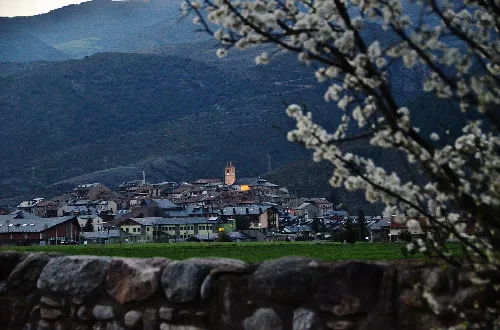Nachtansicht eines Ortes mit Bergen und Blumen im Vordergrund
