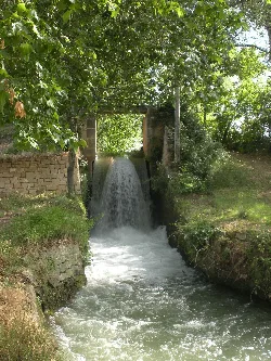 Wasserfall in einem Park mit Bäumen und Vegetation.