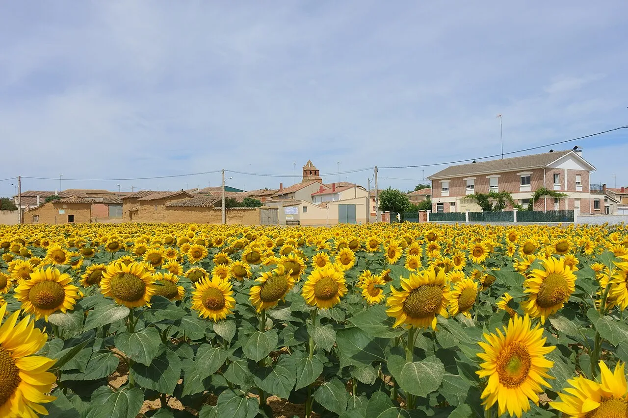 Vista general de Población de Arroyo (Palencia, España).