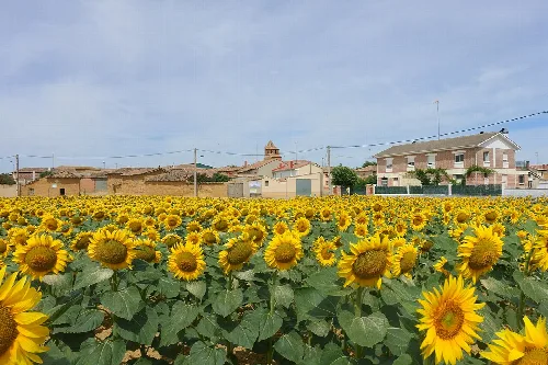 Vista general de Población de Arroyo (Palencia, España).