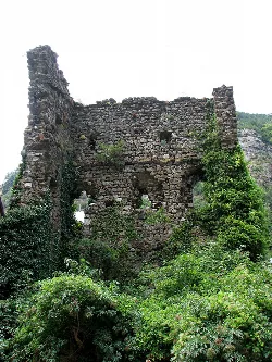 Ruins of a stone tower with vegetation at its base and on its walls.