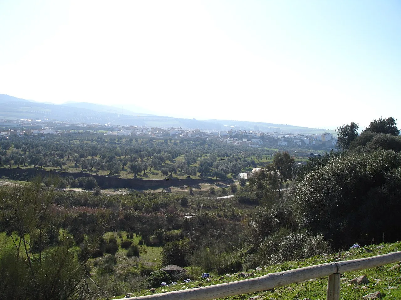 Rural landscape with vegetation and mountains in the distance.