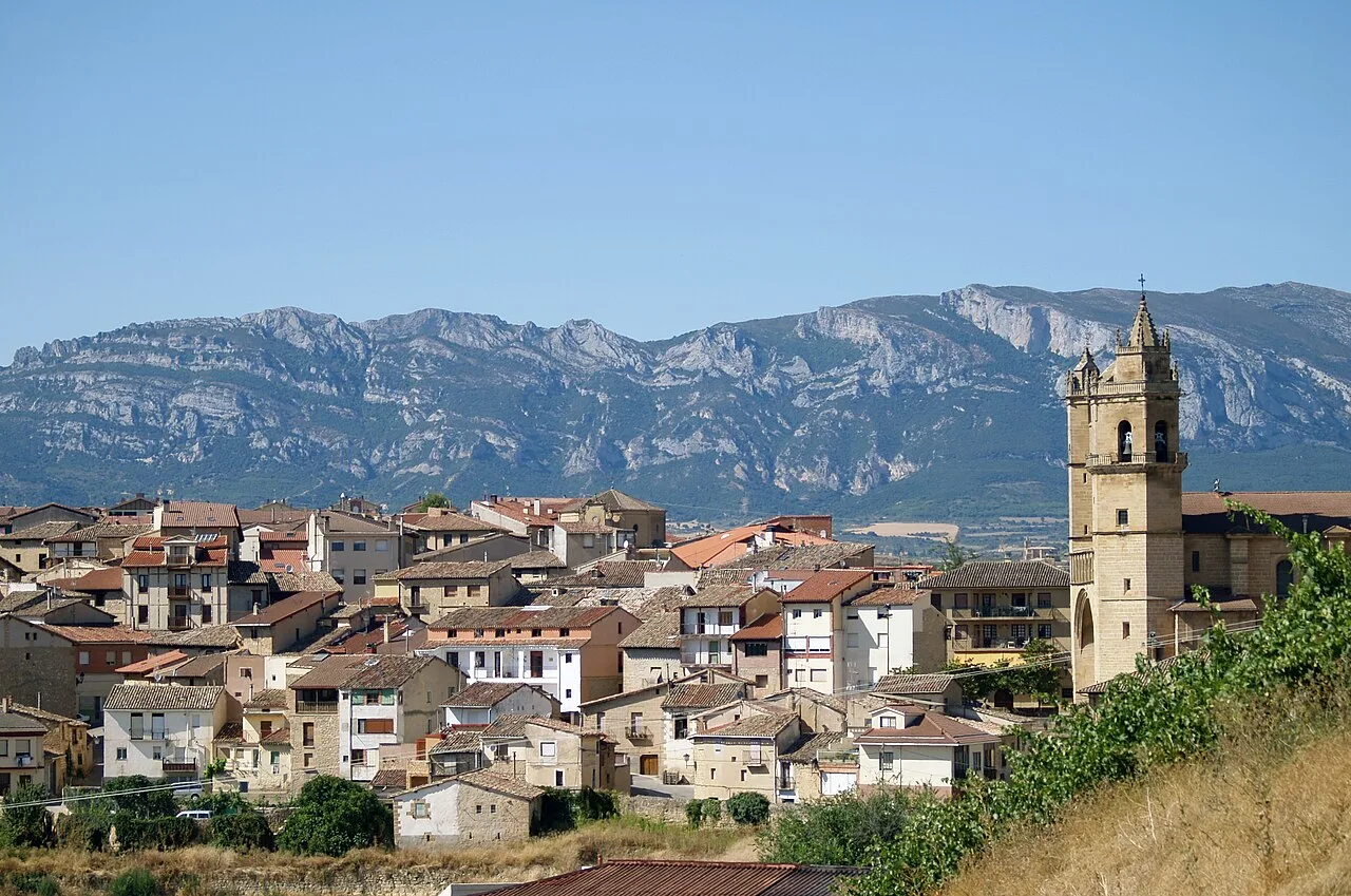 Urban landscape of Elciego with houses and a church tower, mountains in the background.