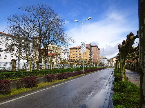 Street in Villava with pruned trees and buildings in the background.