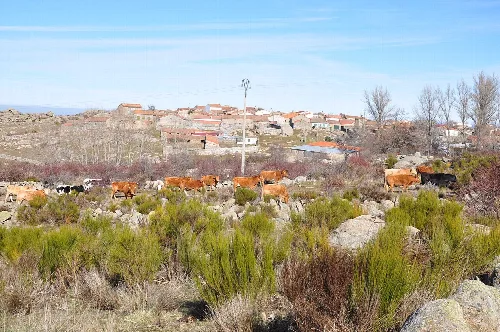 Panorama de Gallegos de Altamiros, Ávila, España