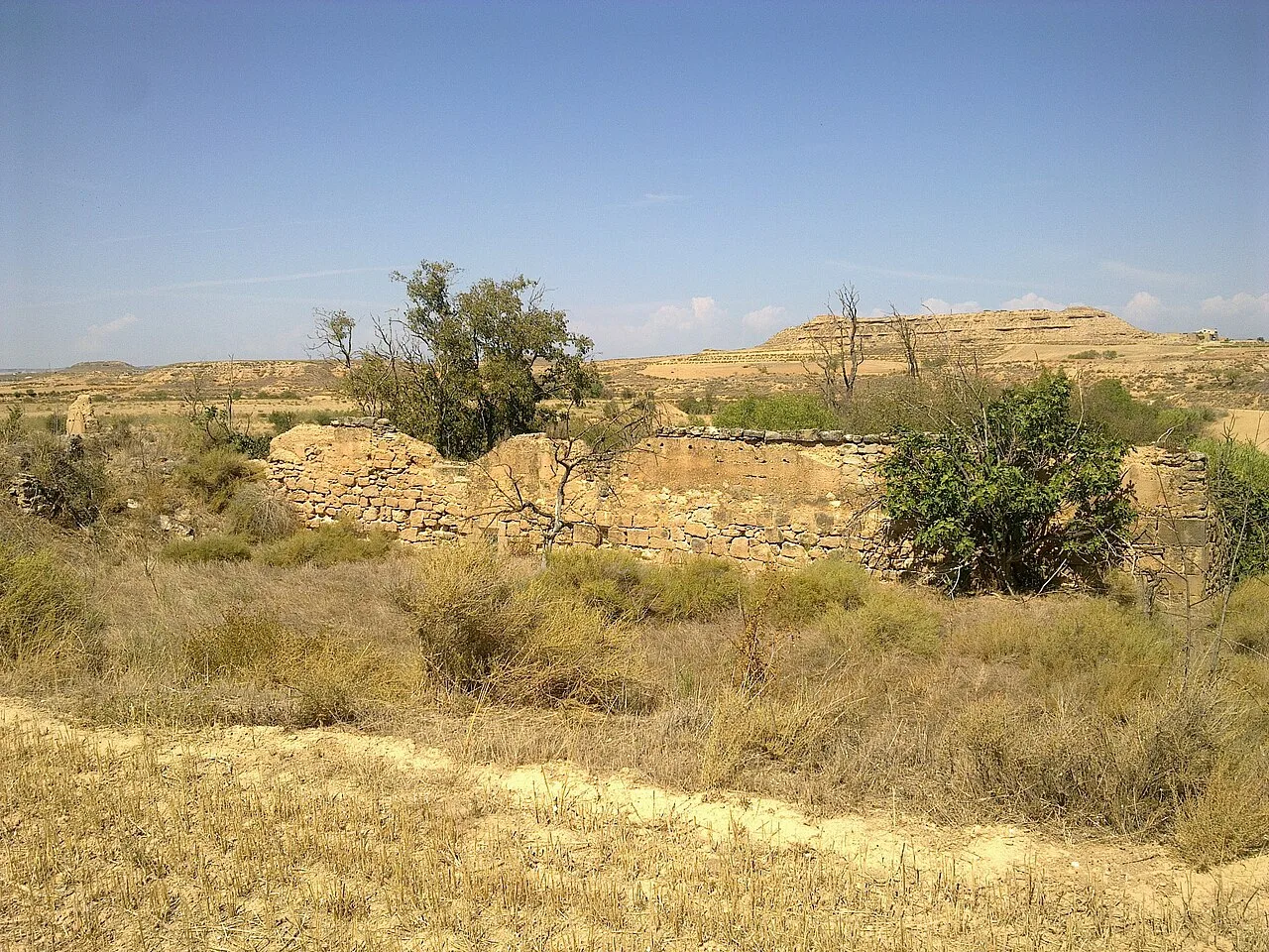 Restos de una estructura medieval con muros de piedra y vegetación en un paisaje árido.