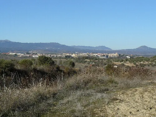 Paisaje con montañas y vegetación en primer plano, vista de Escalona.