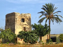 Mittelalterlicher Steinturm in El Verger mit Palmen und Pflanzen.