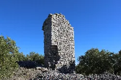 Steinmauerreste in einem Feld mit Olivenbäumen und Sträuchern.