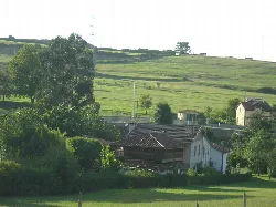 Houses and trees in a rural landscape in Corvera de Asturias.