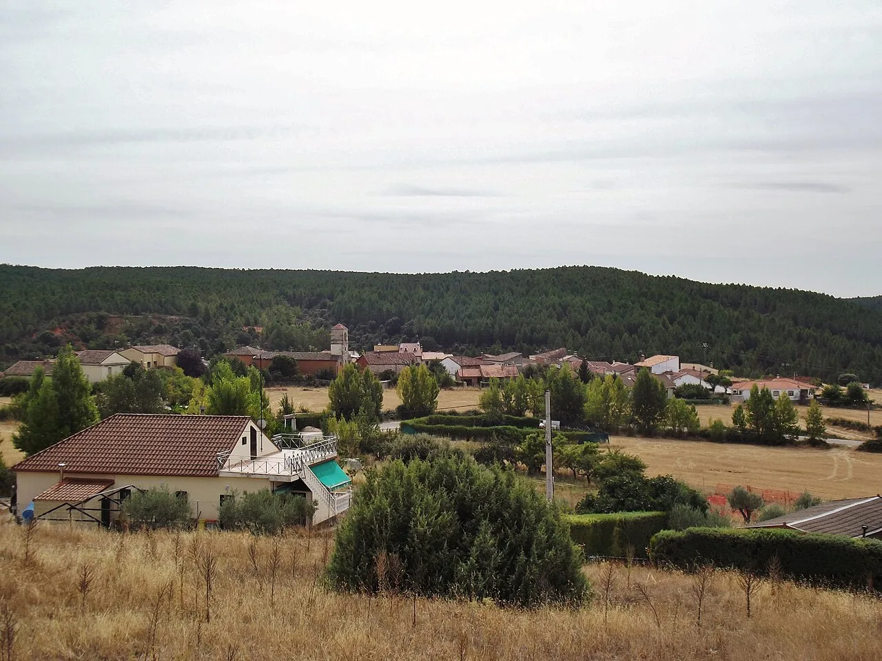 Vista de La Mierla, provincia de Guadalajara.