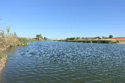 Large lagoon with water and vegetation on the edges.
