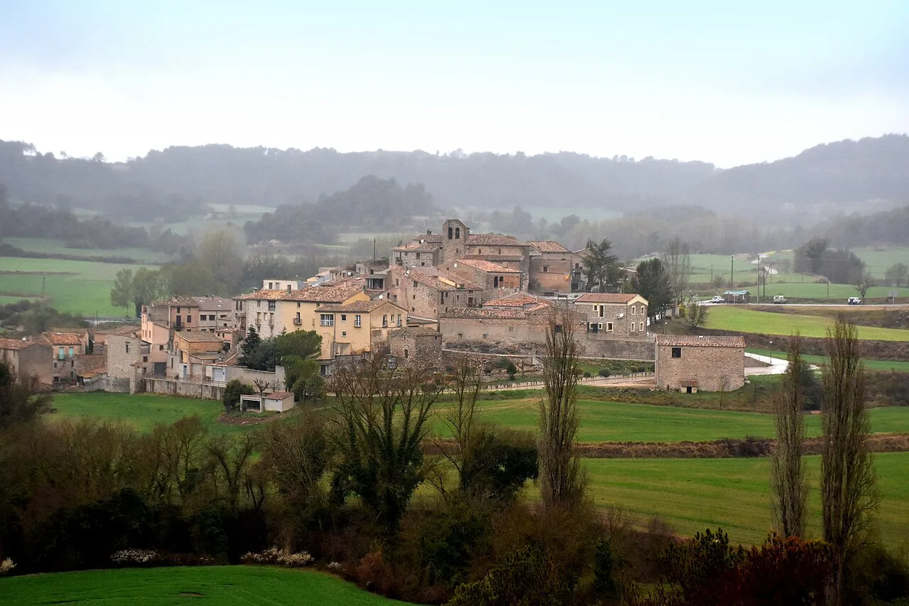 Bellprat, rodejat de boscos i camps de conreu, és un petit municipi de la comarca de l'Anoia, amb presència humana des de molt antic, segons vestigis de l'edat de bronze amb assentaments ibèrics.
A prop seu, el Castell de Queralt domina tot el terme i és des d'on es gaudeix d'una magnífica panoràmica sobre les comarques de l'Anoia, la Segarra i la Conca de Barberà. El castell de Queralt era, al segle x, un bastió avançat del comtat de Barcelona, documentat des de l'any 960. La seva existència es remunta al segle anterior. L'any 976, el comte Borrell el va vendre a Guitart, vescomte de Barcelona, aconseguit, per conquesta del seu avi Guifré i per testament del seu pare Sunyer, pel preu de 200 pesos d'argent. Sota la influència del castell neix el nucli de Bellprat.