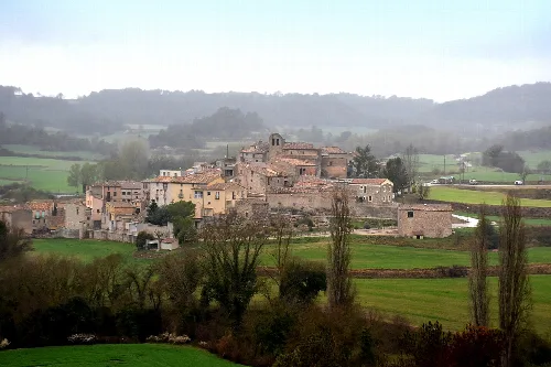 Bellprat, rodejat de boscos i camps de conreu, és un petit municipi de la comarca de l'Anoia, amb presència humana des de molt antic, segons vestigis de l'edat de bronze amb assentaments ibèrics.
A prop seu, el Castell de Queralt domina tot el terme i és des d'on es gaudeix d'una magnífica panoràmica sobre les comarques de l'Anoia, la Segarra i la Conca de Barberà. El castell de Queralt era, al segle x, un bastió avançat del comtat de Barcelona, documentat des de l'any 960. La seva existència es remunta al segle anterior. L'any 976, el comte Borrell el va vendre a Guitart, vescomte de Barcelona, aconseguit, per conquesta del seu avi Guifré i per testament del seu pare Sunyer, pel preu de 200 pesos d'argent. Sota la influència del castell neix el nucli de Bellprat.