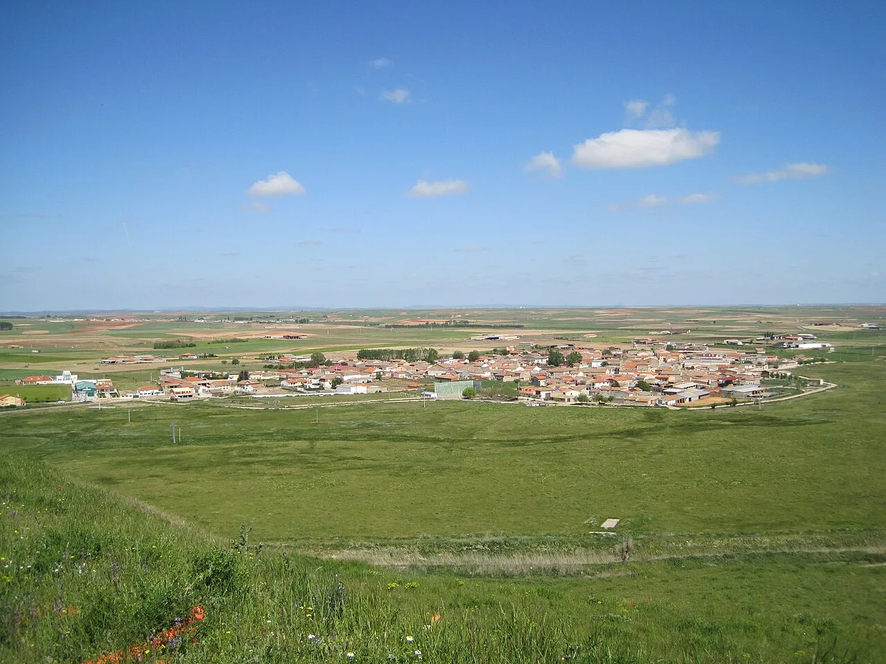 Gesamtansicht von Torres del Carrizal mit Häusern und grünen Feldern.