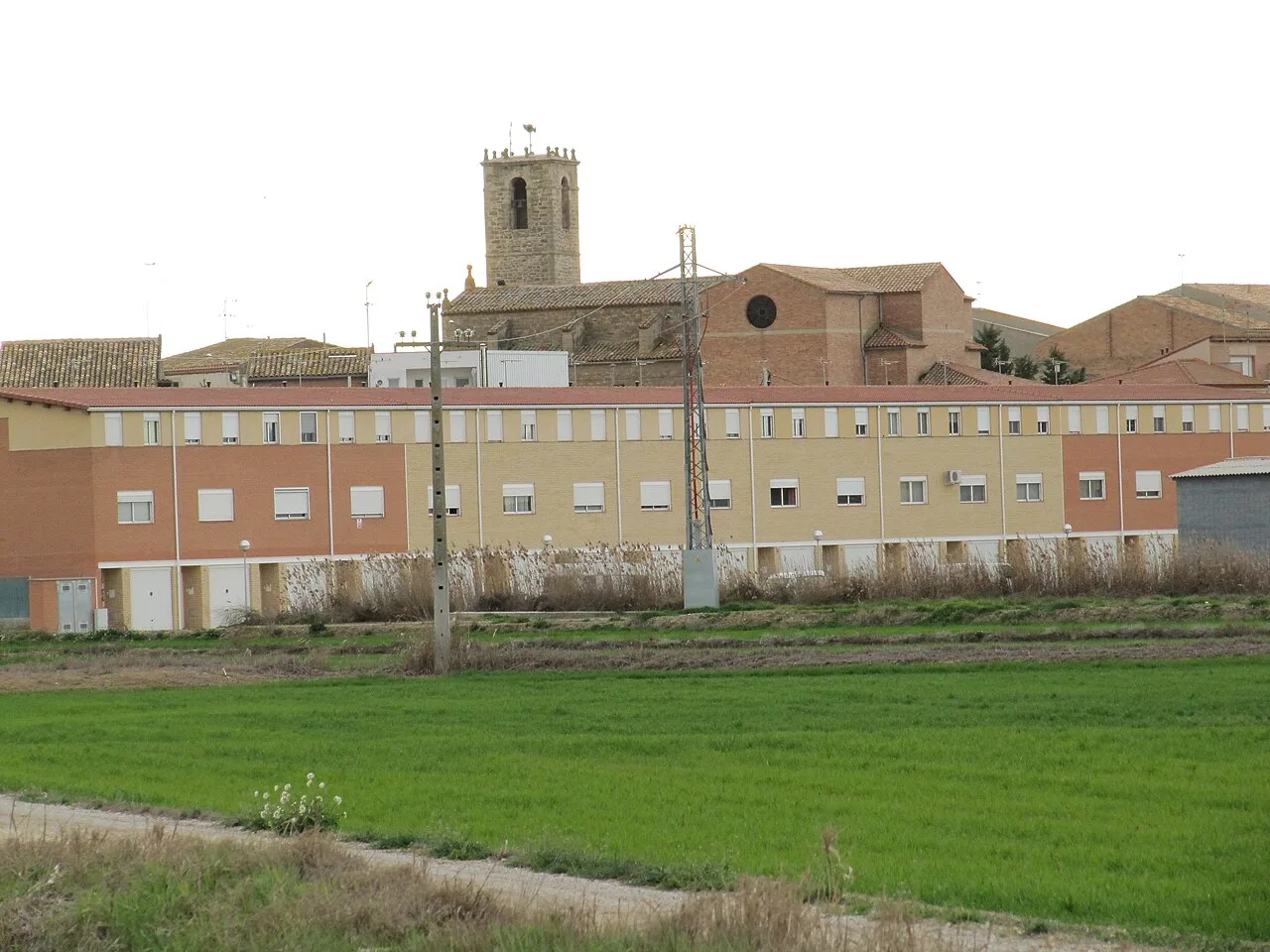 Sidamon image