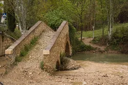 Puente de piedra en Riofrío, con árboles y vegetación alrededor.