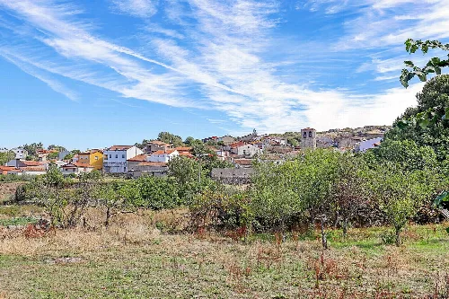 Paisaje con casas y árboles en un pueblo en Salamanca bajo cielo azul.