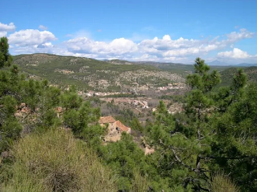 Landschaft mit grünen Bäumen, Häusern und Bergen im Hintergrund.