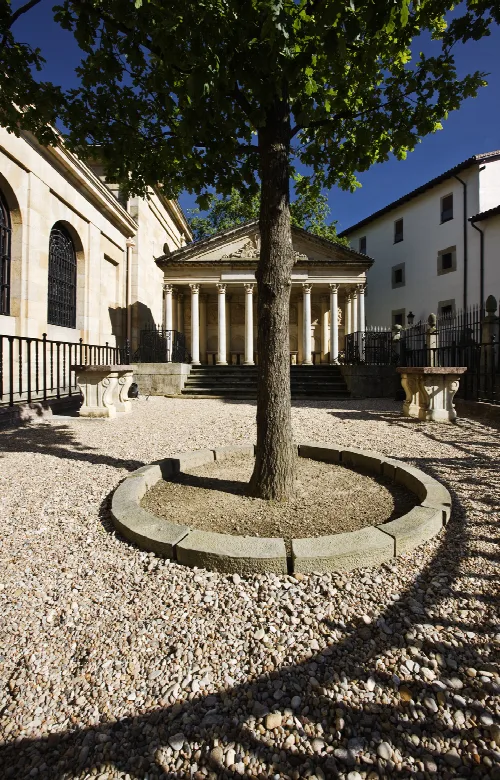 Árbol en un círculo de piedra en un patio con columnas y bancos de piedra.