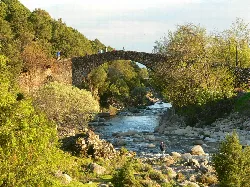 Stone bridge over a river with trees and rocks.