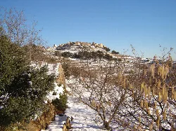Snowy landscape with trees and a village on the hill.