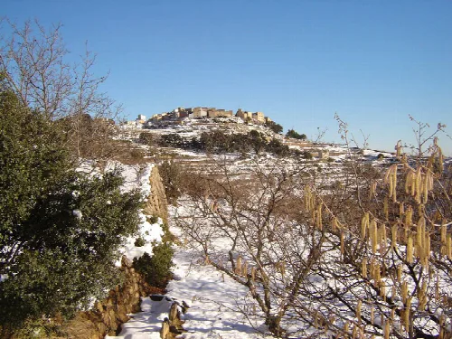 Verschneite Landschaft mit Bäumen und einem Dorf auf dem Hügel.